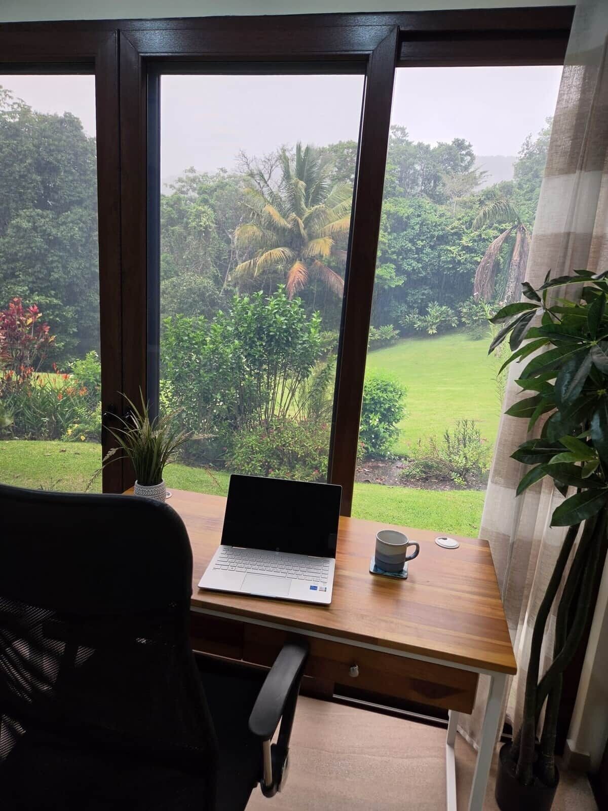 A laptop on a desk with a view of a lush garden through a window.