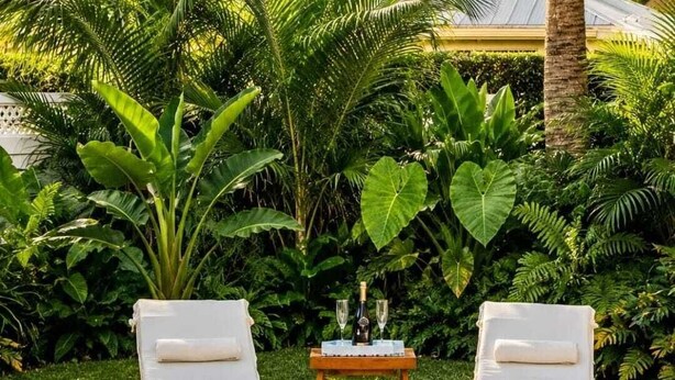 Outdoor pool - Stylish Pool Retreat in the Heart of Vero Beach. (Vero Beach)