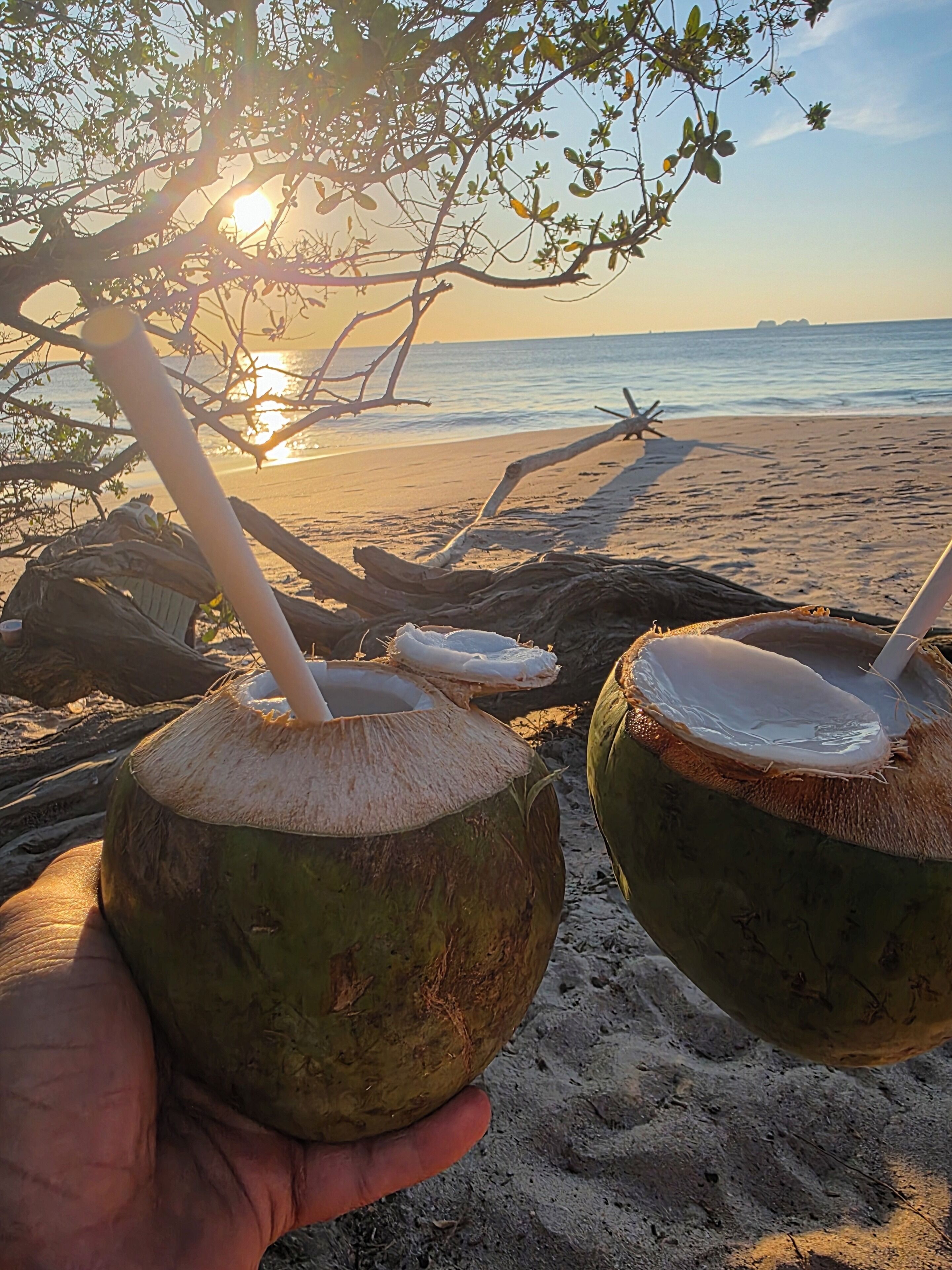 Deux noix de coco équipées de pailles, posées sur une plage de sable, avec un coucher de soleil en arrière-plan.