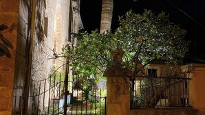 A nighttime view of a courtyard with a palm tree, a metal gate, and a building with stone walls. - Bright Village apartment, wrap around mountain views in Fornalutx.HighspeedWIFI (fornalutx)