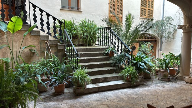 A staircase surrounded by potted plants leading to a building entrance. - Bright Village apartment, wrap around mountain views in Fornalutx.HighspeedWIFI (fornalutx)