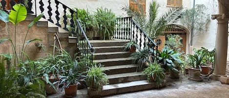 A staircase surrounded by potted plants leading to a building entrance.