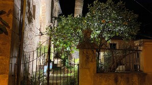 Ein Nachtbild eines historischen Gebäudes mit schmiedeeisernem Tor, einer Palme und einer kleinen Gartenanlage.