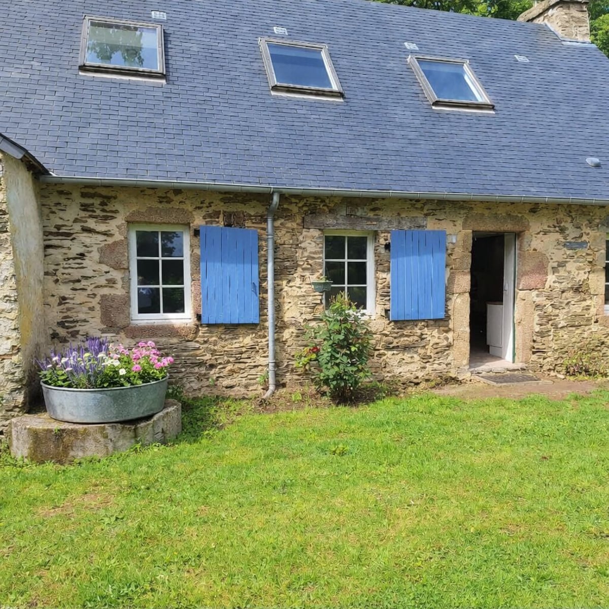 Image de profil de l’hôte