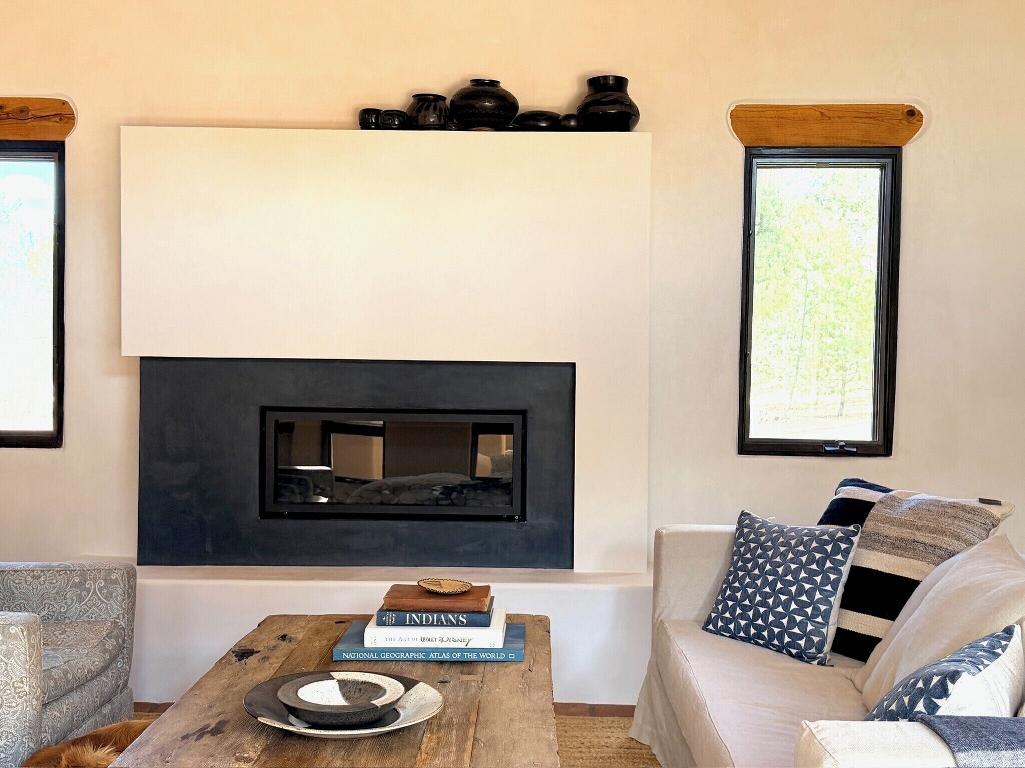 Smart TV, fireplace, books