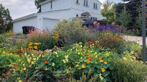 Een wit, twee verdiepingen tellend huis met een garage, omgeven door diverse kleurrijke bloemen en planten.