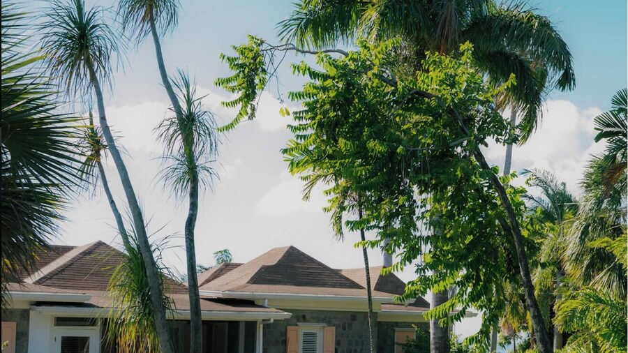 Palm Garden Nevis