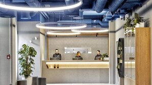 Zona de recepción con diseño moderno, que incluye un mostrador de recepción, tres empleados y una planta grande en maceta.