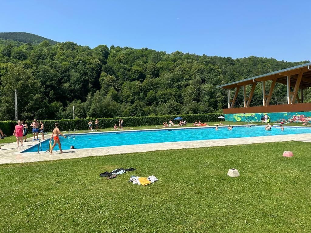 Ein Schwimmbecken, umgeben von einer Rasenfläche, mit einem bewaldeten Hügel im Hintergrund.