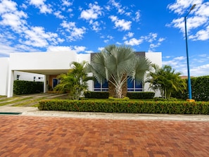 A modern building with a paved entrance, palm trees, and a clear blue sky.