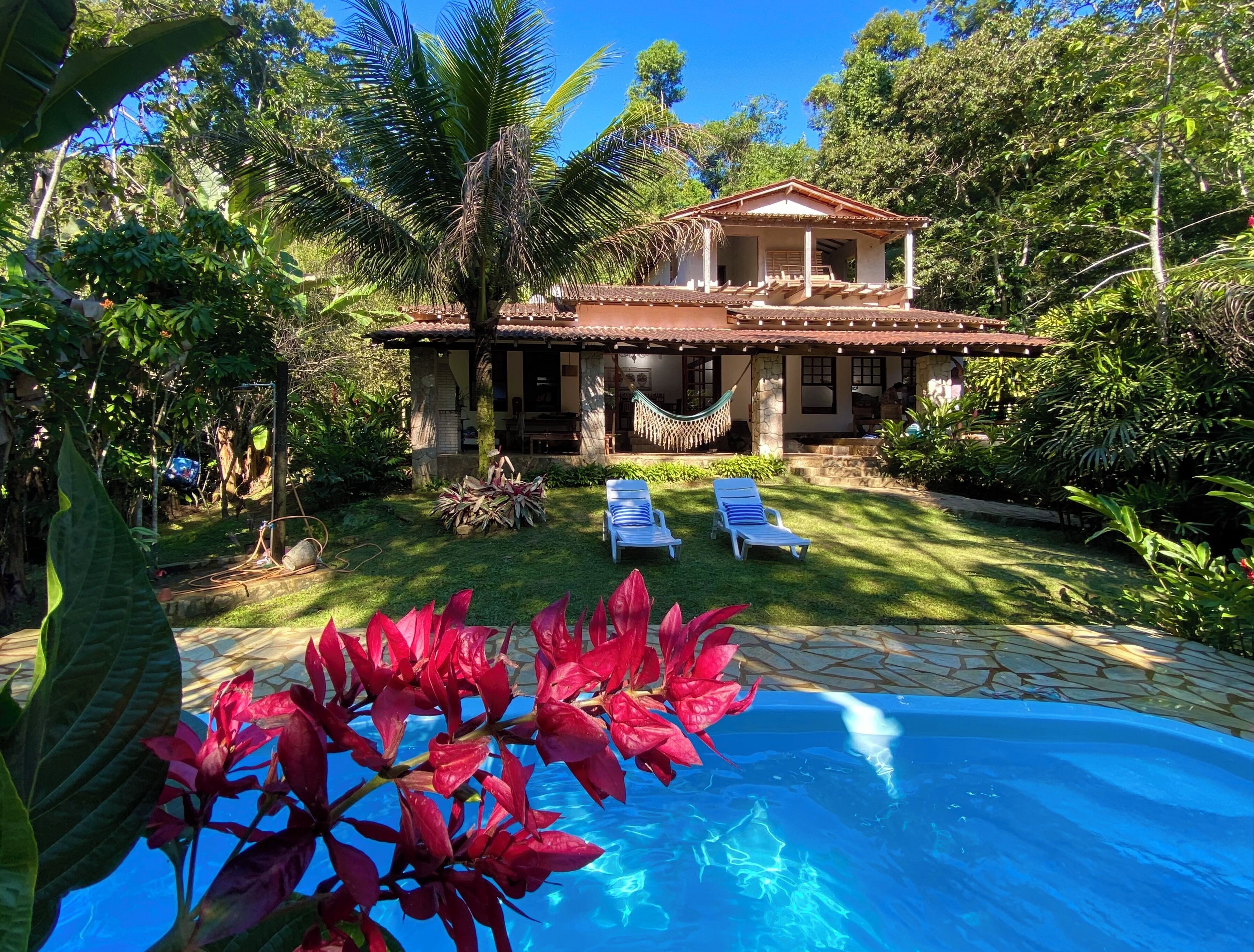 A house with a pool, surrounded by lush greenery and palm trees.