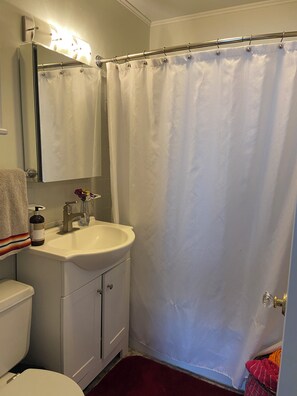 Shower, hair dryer, towels, soap - Spacious 4-bedroom house in northern Westchester with sweeping views (Montrose)