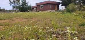 A single-story building with a flat roof, surrounded by a field of wildflowers and sparse vegetation. - Casa de 4 dormitorios en Algarrobo, ideal para grupos familiares (Algarrobo)