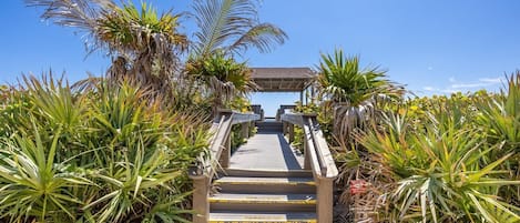 A wooden staircase leading to a covered area surrounded by tropical plants.