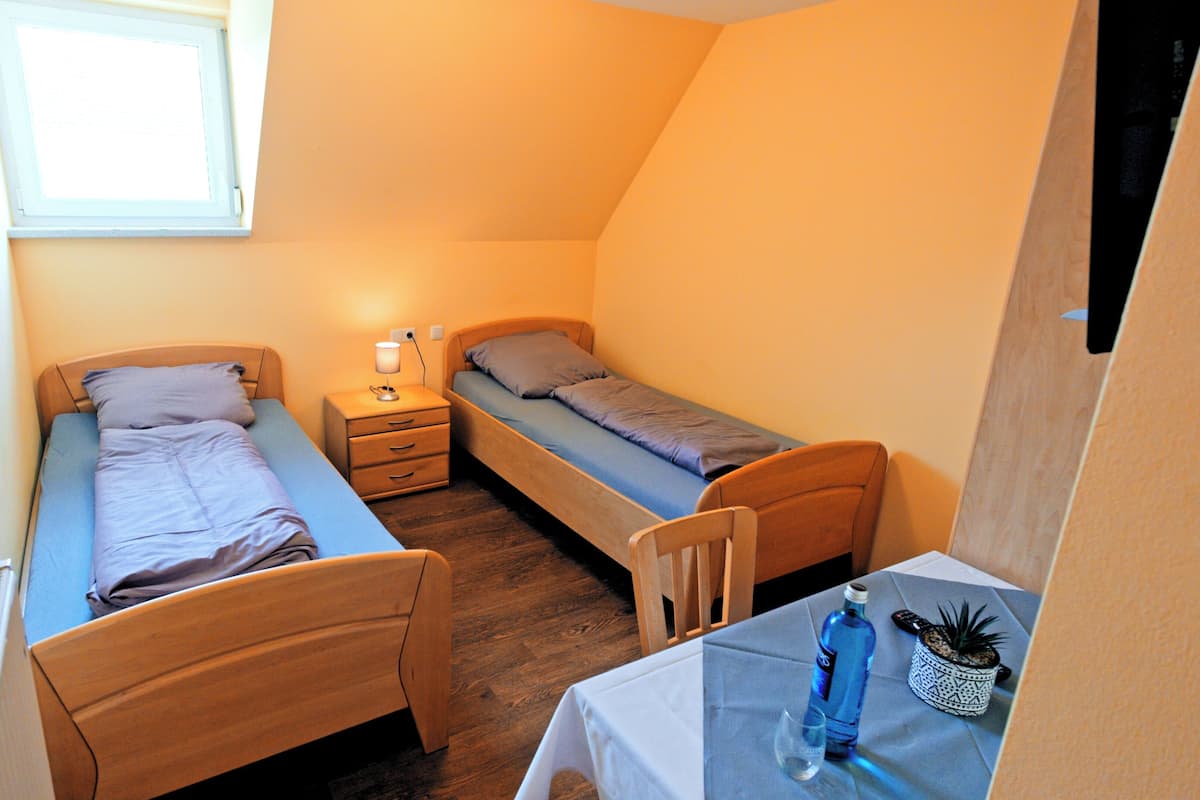 Twin Room, Non Smoking, Private Bathroom | Desk, laptop workspace, WiFi (free), bed sheets