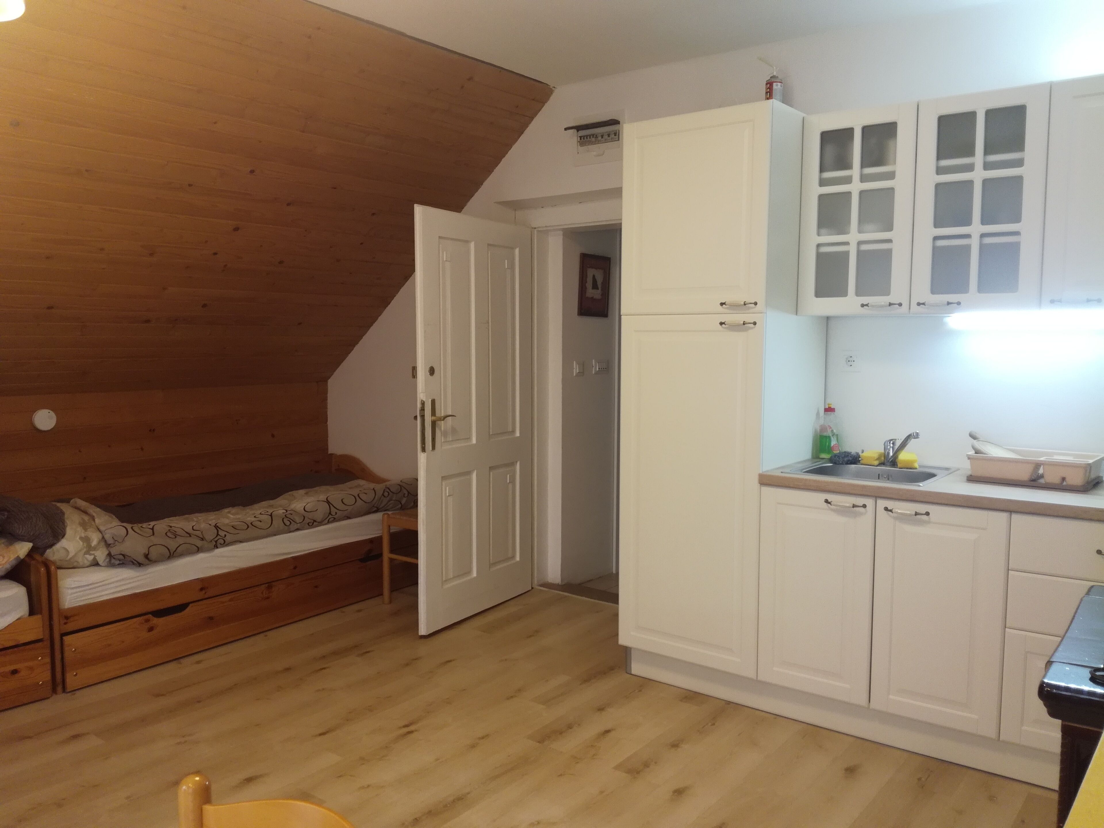 A compact room with a loft bed, a kitchenette, and a door leading to another room.