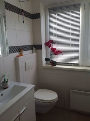 Handtücher, Toilettenpapier