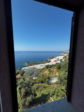 Blick aus einem Fenster auf eine Küstenlandschaft mit Gebäuden und viel Grün.