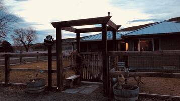 A rustic outdoor area with a wooden pergola, a bench, and a metal gate.
