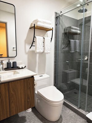 Hair dryer, towels, soap, toilet paper - Vrbo Property (San José)