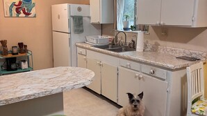 Une cuisine équipée d’un réfrigérateur, d’un évier et où un chien est assis sur le sol.