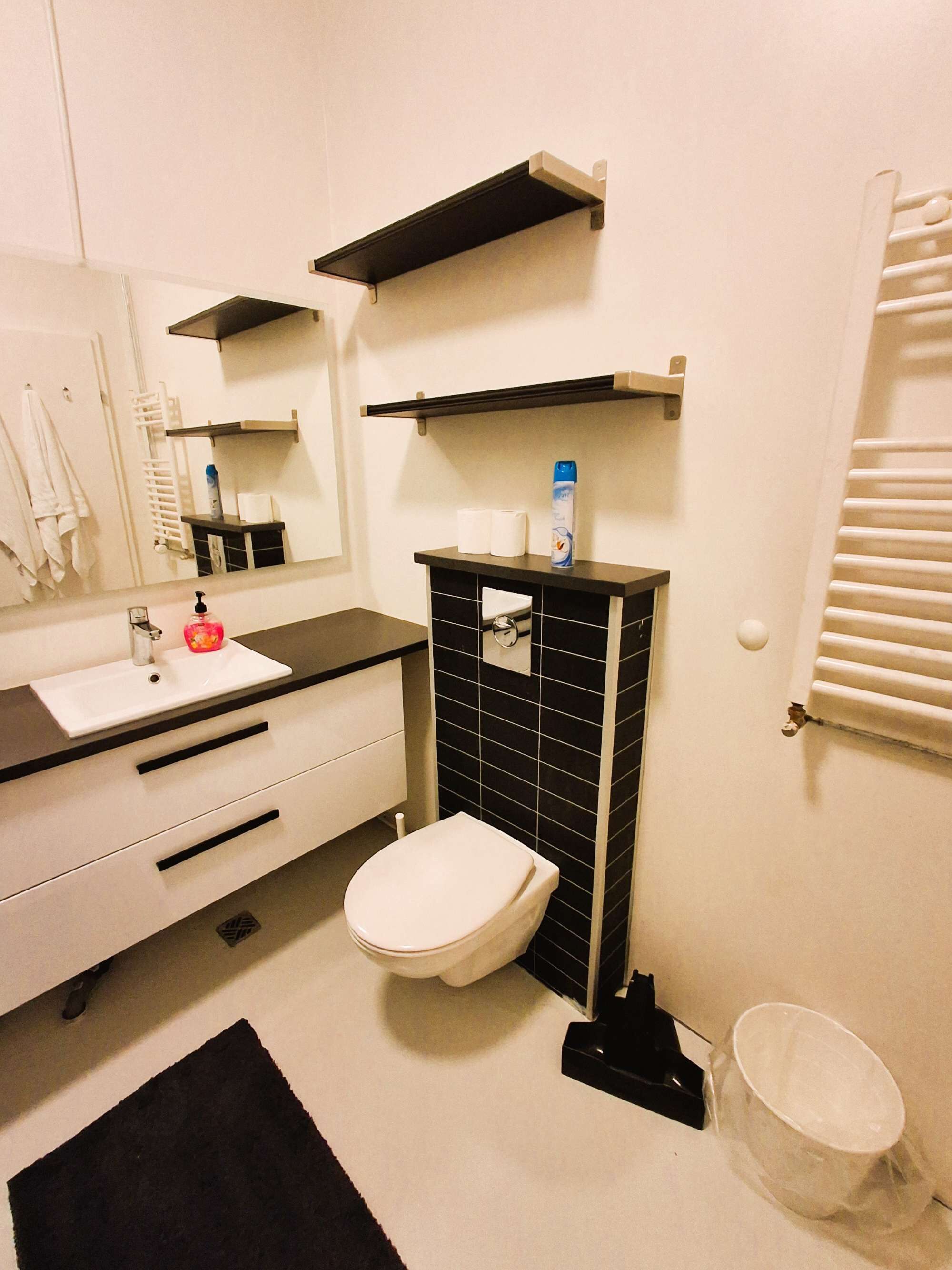 Dusch, hårtork, handdukar och toalettpapper