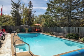 Pool - Waterfront Cottage with Pool, 20 min from town (Mount Stewart)