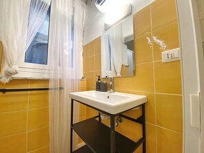 Ducha, secador de pelo, jabón y papel higiénico