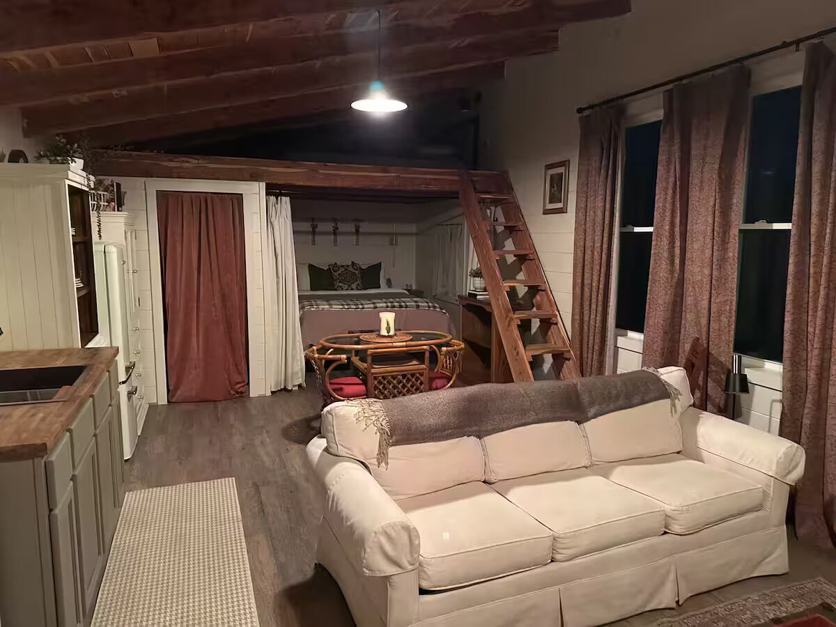 A cozy living area with a sofa, a dining table, and a ladder leading to a loft bedroom.