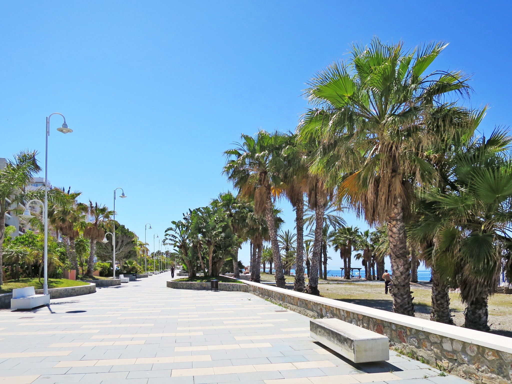 Un paseo marítimo adoquinado flanqueado por palmeras y farolas, que conduce a una playa.