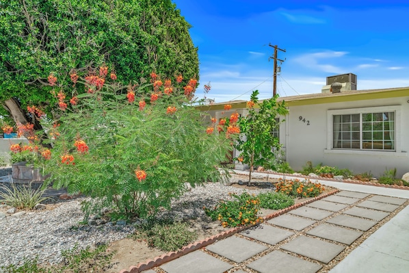 A residential area with a paved walkway, a house with the number 942, and a tree with orange flowers. - Resort-Style Desert Retreat with Huge Pool, Spa city id 069562 City ID # 069562 (Palm Springs)