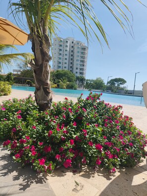 Pool - Santa Marina, Swimming Pool, Beach, Peace and Quiet (Pet-Friendly) (Santa Marta)