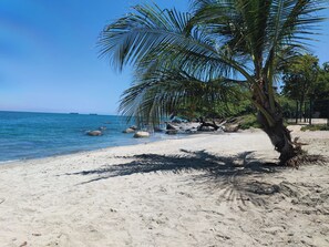 A beach with clear blue water, a palm tree, and a sandy shore. - Santa Marina, Swimming Pool, Beach, Peace and Quiet (Pet-Friendly) (Santa Marta)