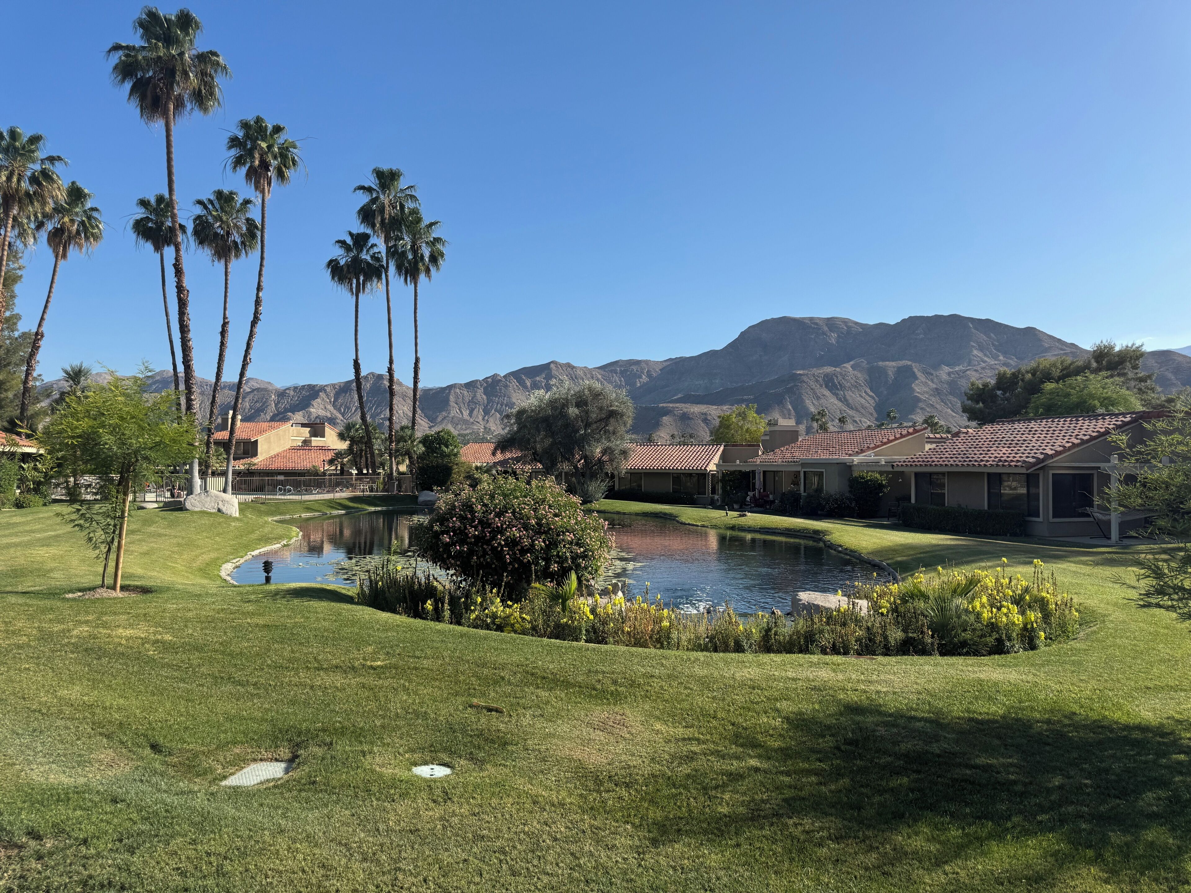 A landscaped area with a pond, palm trees, and buildings with red-tiled roofs.