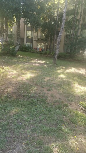 A courtyard with trees, a grassy area, and a building with balconies. - Relax in Pucón (Araucanía)