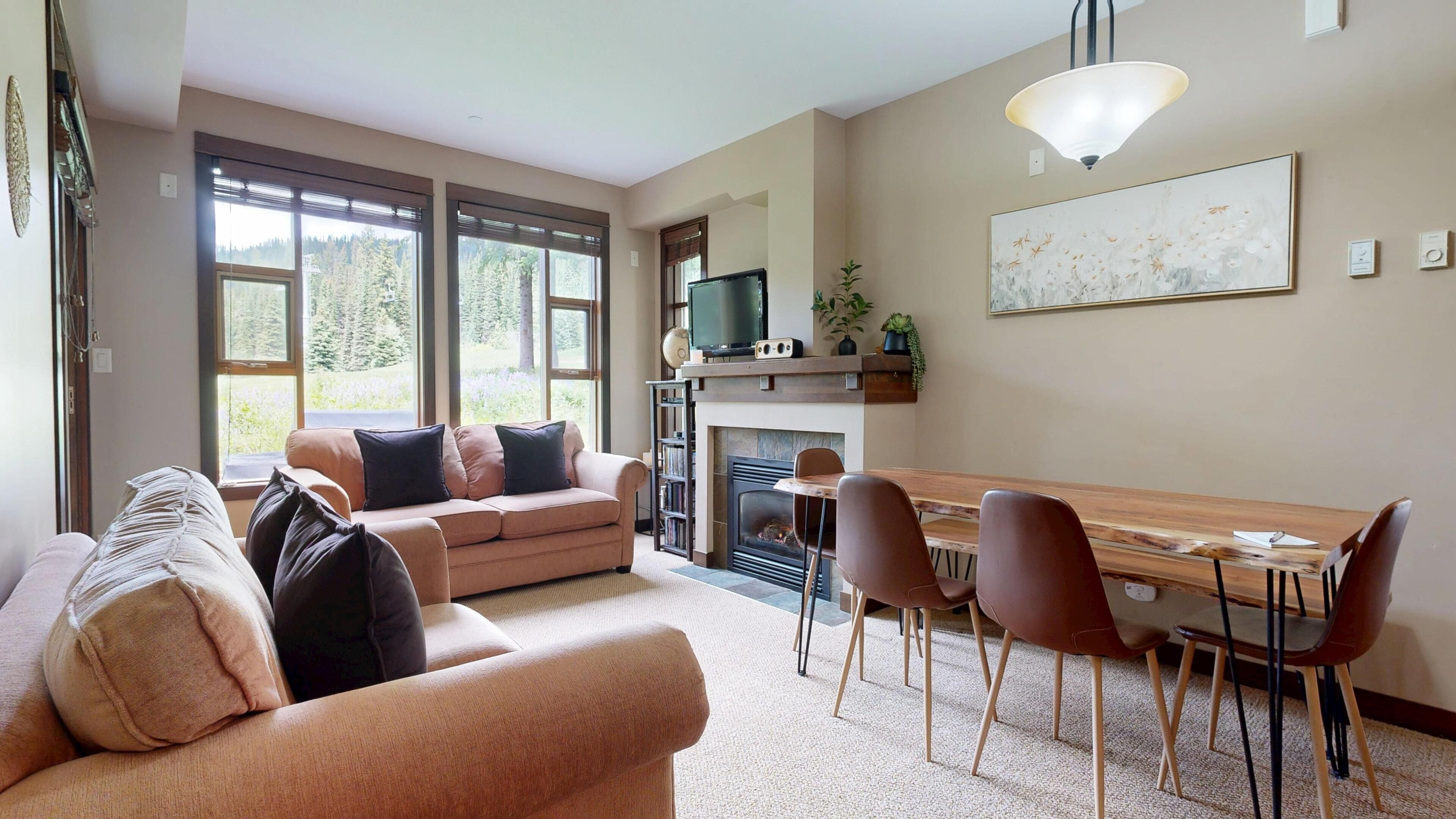 TV, fireplace, DVD player, video library