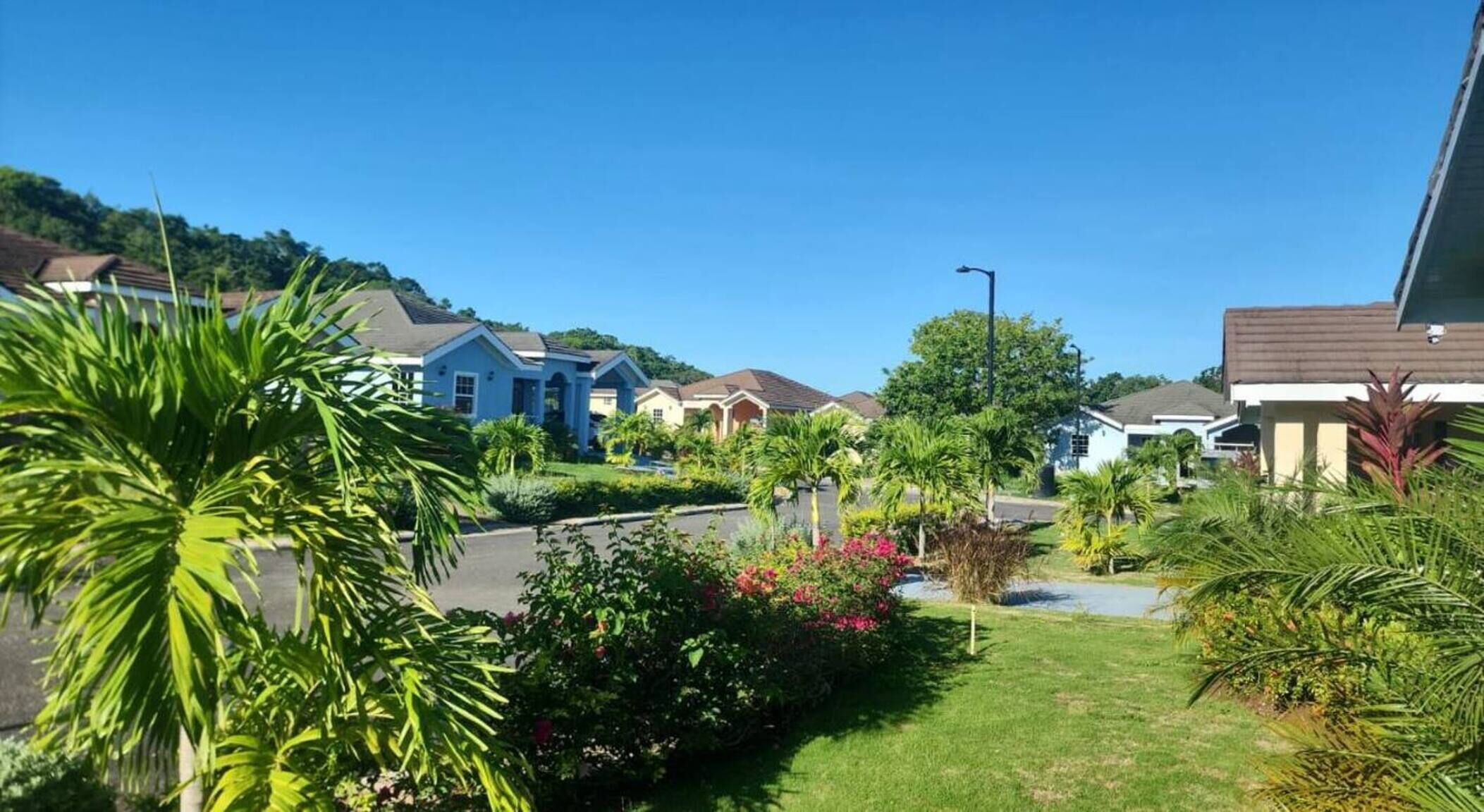 A residential area with houses, a clear sky, and greenery.