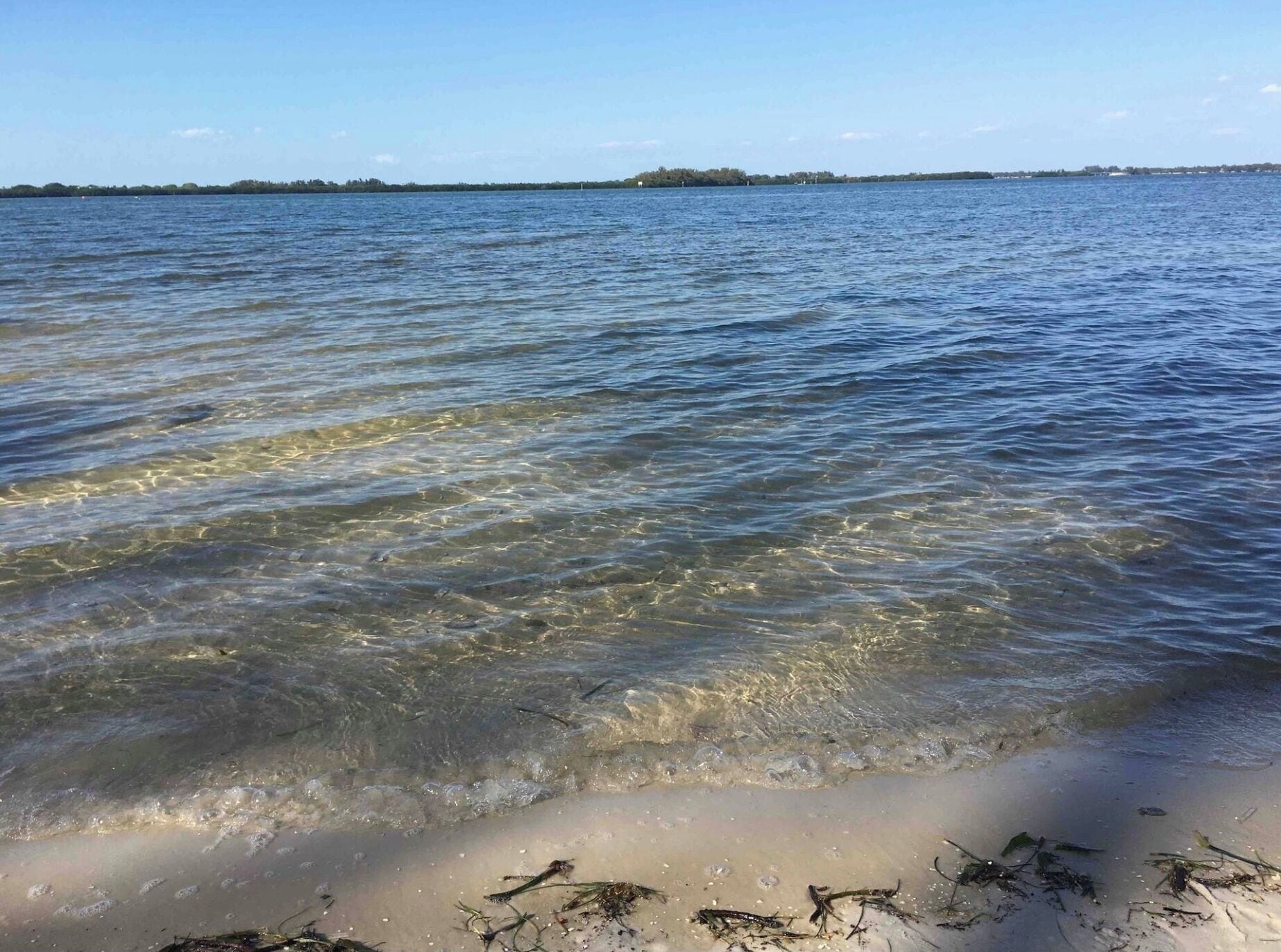 Une plage à l’eau claire, avec un rivage sablonneux et une terre ferme visible au loin.