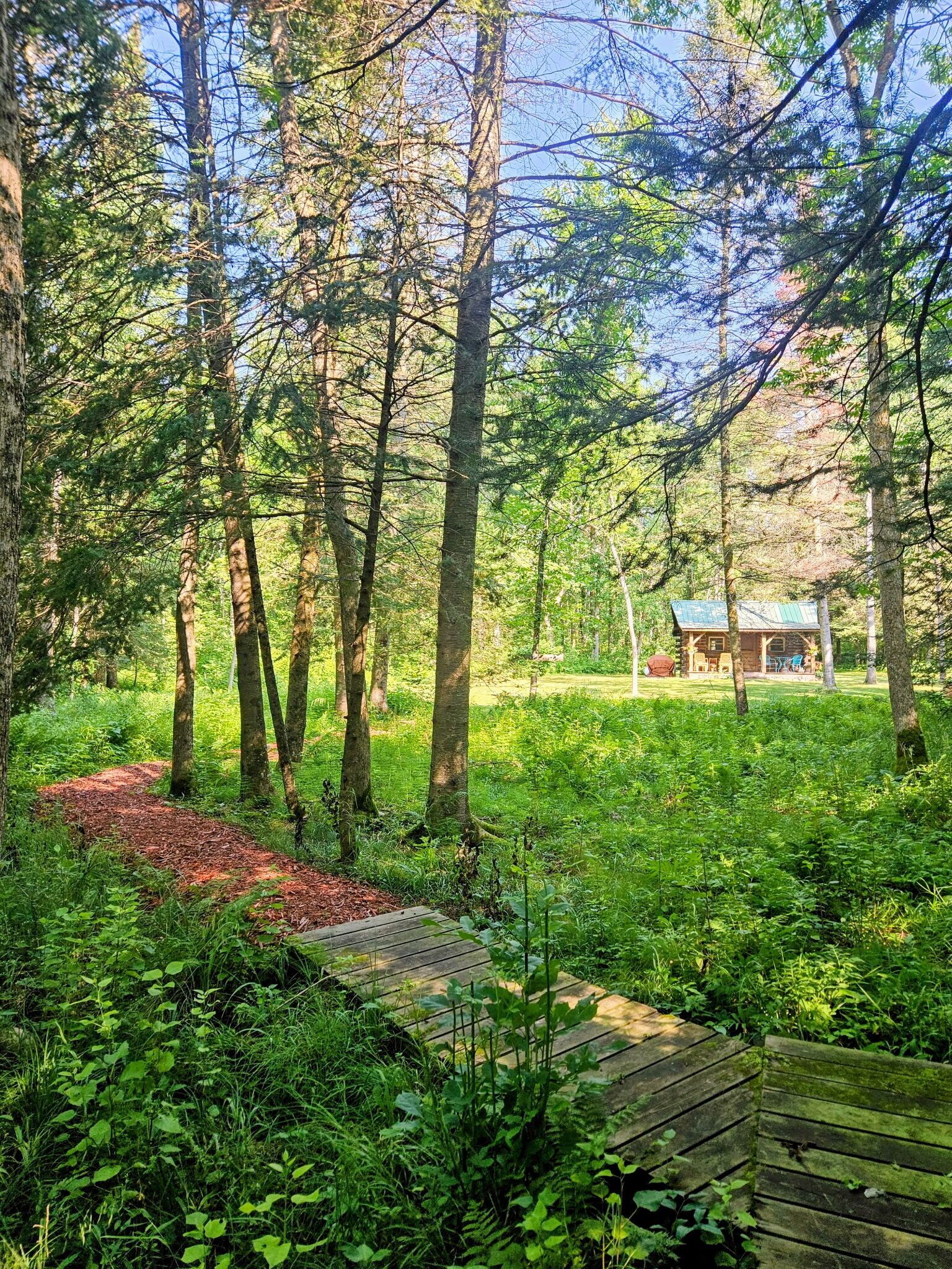 Une zone boisée avec un chalet en bois et une terrasse en bois.