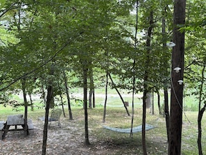 A forested area with picnic tables and a hammock.