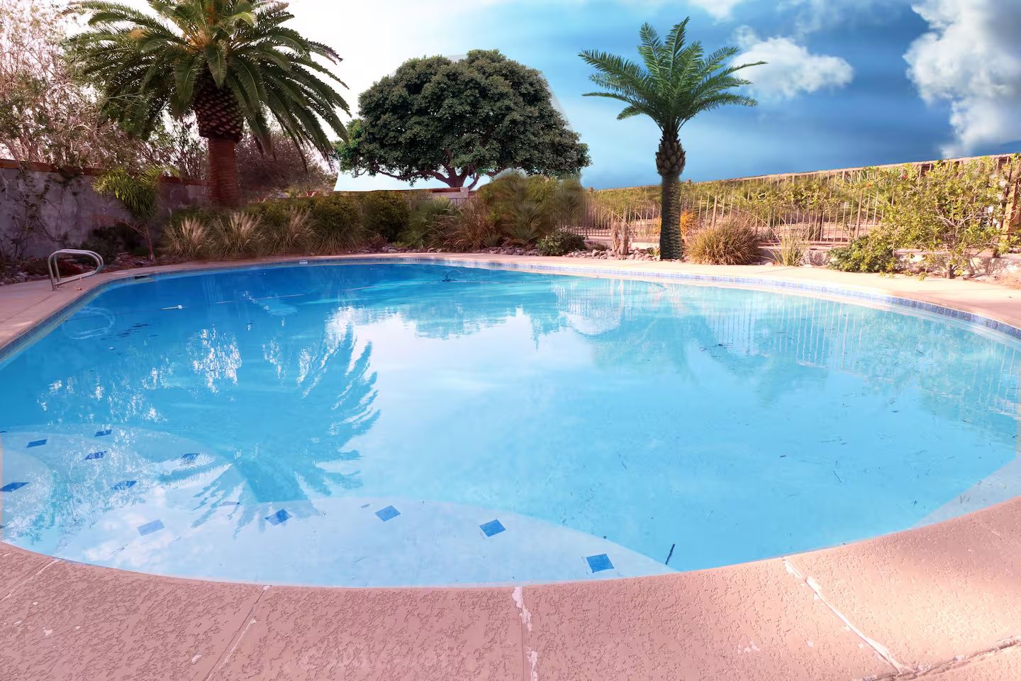 Ein Schwimmbecken mit glasklarer blauer Wasseroberfläche, umgeben von verschiedenen Pflanzen und Bäumen, mit einer Steinmauer im Hintergrund.
