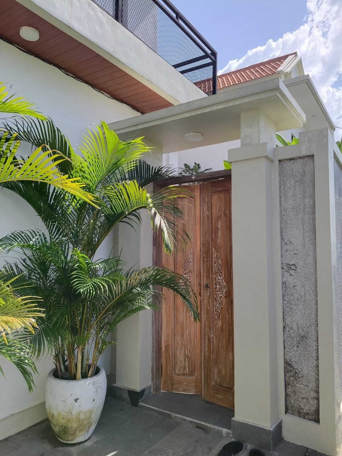 A building entrance with a wooden door, a potted plant, and a concrete wall.