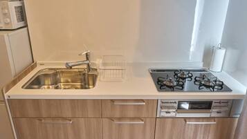 Basic Apartment, 2 Bedrooms, City View | Private kitchen