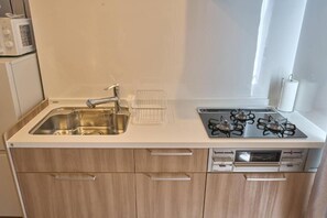 Basic Apartment, 2 Bedrooms, City View | Private kitchen - Niseko Town Retreat Amber (Abuta-gun, Kutchan-cho)