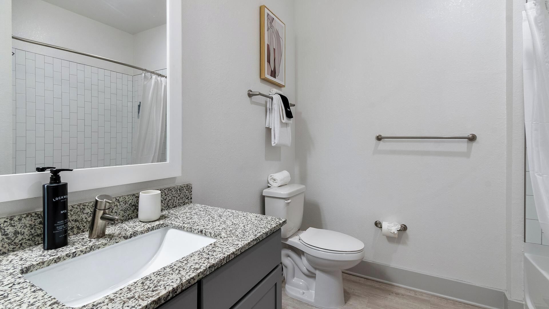 Une salle de bain comprenant un lavabo, des toilettes et un espace douche.