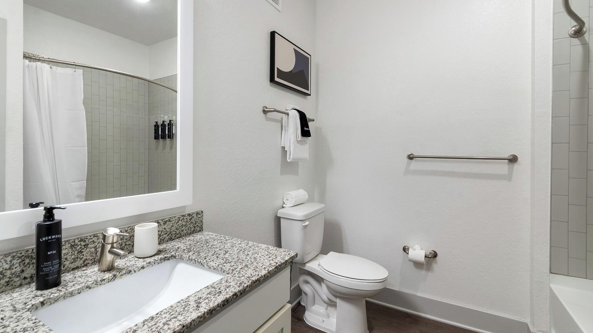 Un baño con un lavabo blanco, un inodoro, un perchero para toallas, un cuadro en la pared y una zona de ducha.