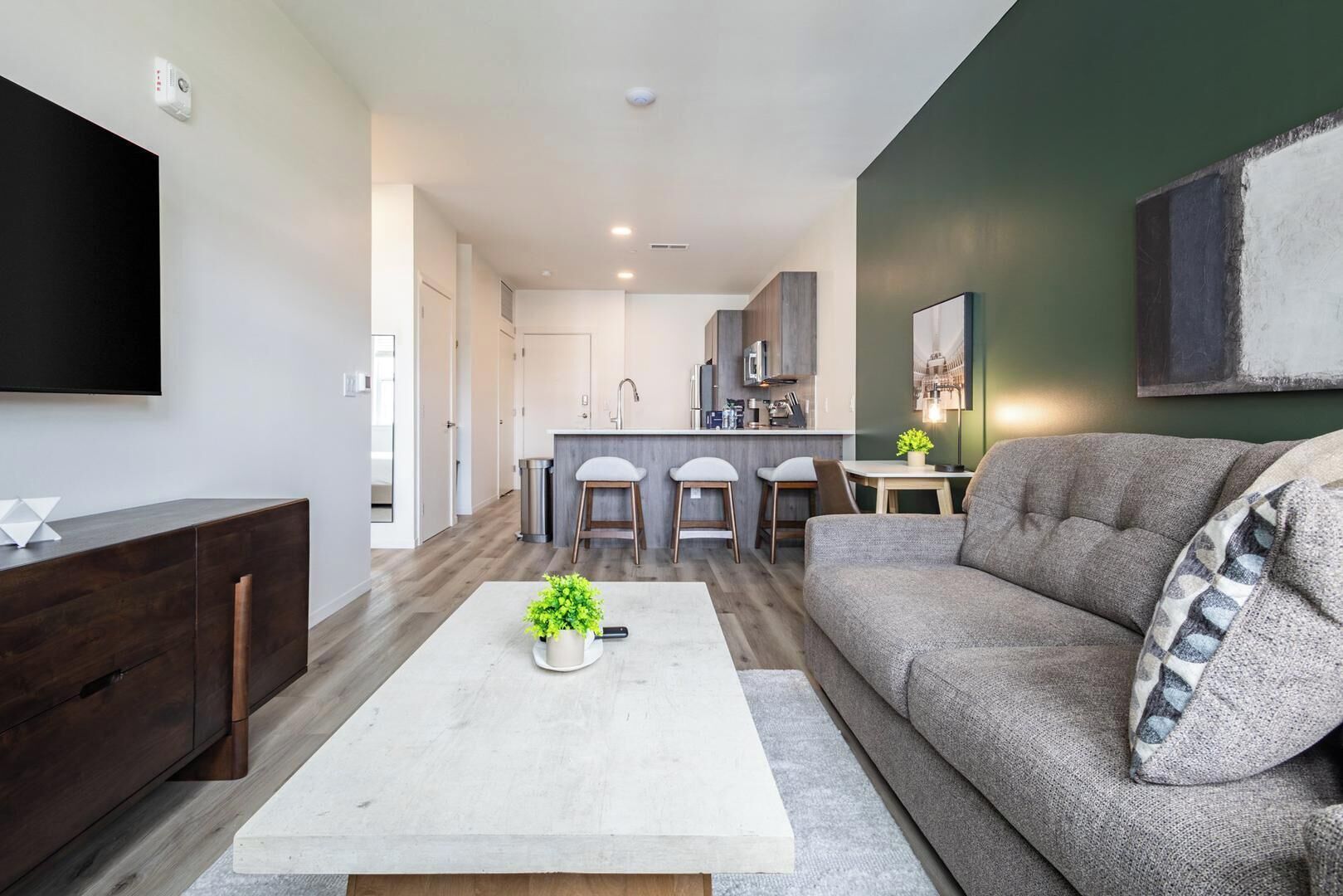 Un salon moderne avec un canapé, une table basse agrémentée d’une plante et un téléviseur fixé au mur.
