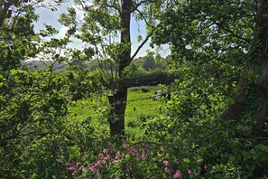 A lush green landscape with a tree in the foreground, a grassy field in the background, and a clear sky.