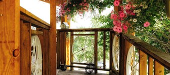 Country retreat with room for everyone! Sleeps up to 20 - great outdoor spaces
