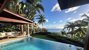 A swimming pool with a view of the ocean, surrounded by palm trees and a covered seating area. - Villa With Private Pool and sea View in Samaná (Samaná)